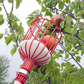 Fruit Picker, 8 FT Fruit Picker Pole with Large Basket, Length Adjustable Gardening Tools, Picking Peaches, Mango, Apple, Orange, Fruit Catcher for Trees with Metal Long Handle, Extra Carrying Bag