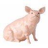 John Beswick Pig Sitting, Earthenware, Pink, 14 x 8 x