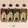 Bithesalon Haraz shampoo-type ampoule hair dye, 5 servings/grey hair dye/dyeing