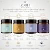 Aurora Bodhi Origins Curcuma 300 mg con Schisandra Bacopa y
