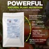 Organic Seafood Fertilizer 6-7-2 | 14.5% Calcium | All-Natural Fish
