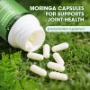 Greenpeople 180 Pills Moringa Leaf Organic Extract Pure Herbal Immune