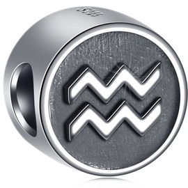 GLOWDAS Zodiac Charms Fit European Birthday Bracelet, Antique 925 Sterling Silver 12 Constellation Charm Beads, Gifts for Family/Lover/Friends, Sterling Silver, No Gemstone