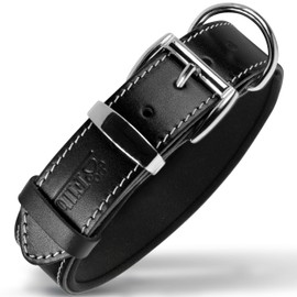 Filbert Leather Dog Collar, Genuine Leather Collar for Large Dogs, Pawprint Embossed with Buckle, Top-Notch Quality Vegetable-Tanned Full Grain, Strong, Adjustable, Heavy Metal Buckle, Black