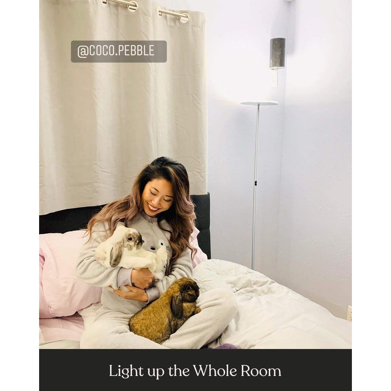 Brightech Sky LED Floor lamp, Torchiere Super Bright Floor Lamp