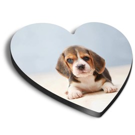 1 x Heart MDF Magnets - Tiny Beagle Puppy Dog Pet 21195