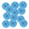 PATIKIL 12 Inch Tissue Paper Pom Poms, Pack of 12