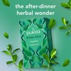 Pukka Herbs Three Mint Organic Herbal Tea Box - 40