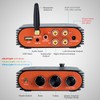 Hosyond 600W 2 Channel Bluetooth 5.3 Amplifier, TPA3255 HiFi Stereo