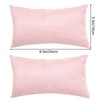 Marrywindix Tiny Pillow 2 Pack Small Decorative Pillow 9.5 x