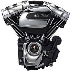 Kustom Cycle Parts Gothic Vampire Lady Points/Timing Cover Compatible with Harley Davidson Motorcycles (Fits: M8 2018 to 2023 Motors)