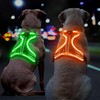 BiPawTi LED Light Up Dog Harness for Safety Night Walking,