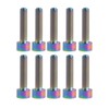 Dingtai Titanium Bolts M6 1.0 inch (25 mm) Allen Hex