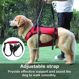Dog Lift Harness, Full Body Support & Recovery Sling, Pet Rehabilitation Lifts Vest Adjustable Breathable Straps for Old, Disabled, Joint Injuries, Arthritis, Paralysis Dogs Walk (S, Red)