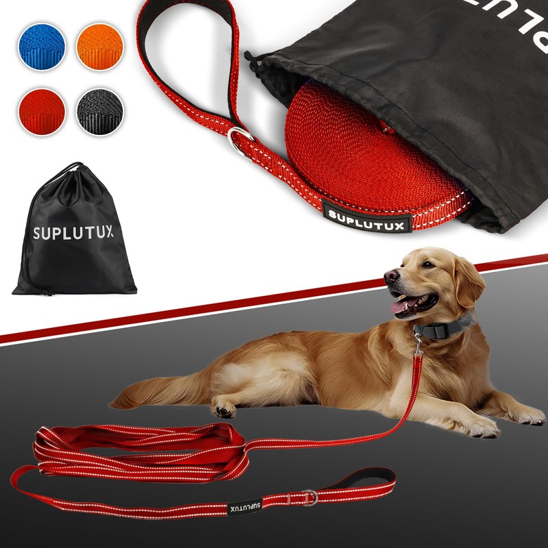 Dog Leash Long Leash for Dog Training, Training for Large