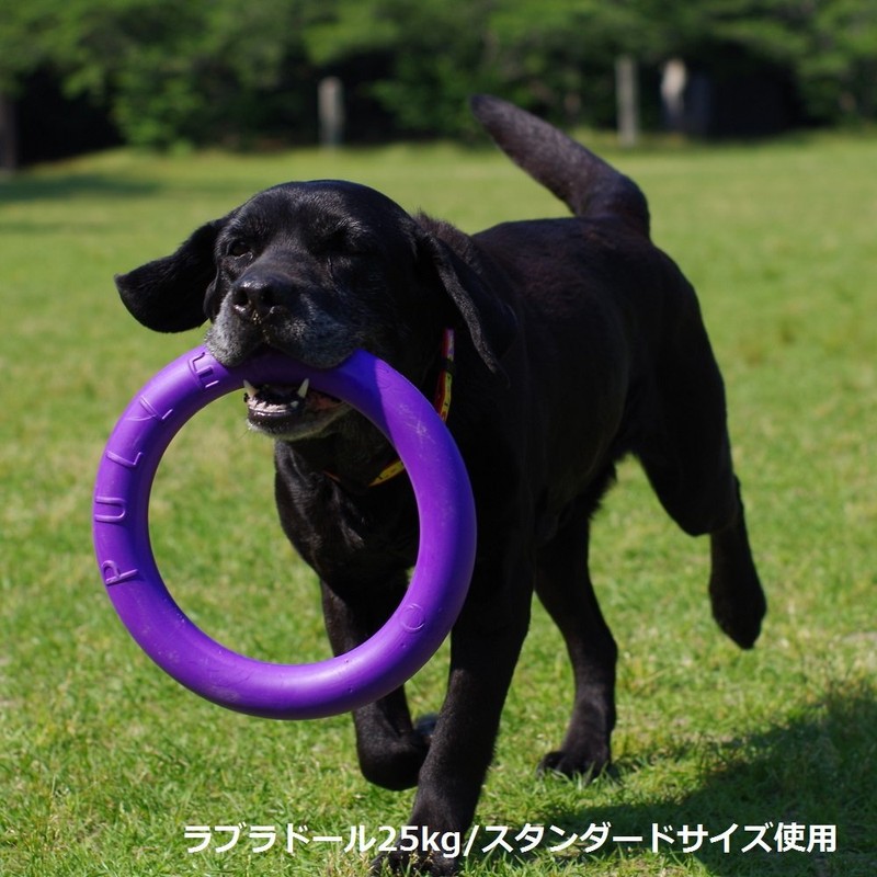 PULLER Midi Puller for Small and Medium Dogs