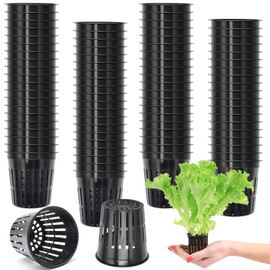 ZeeDix 100 Pcs Net Pots for Hydroponics, 2" Reusable Plastic Nursery Cups Baskets, Wide Lip Slotted Mesh Basket for Hydroponic Aquaponics, Seed Starting, Orchids, Gardening Supplies