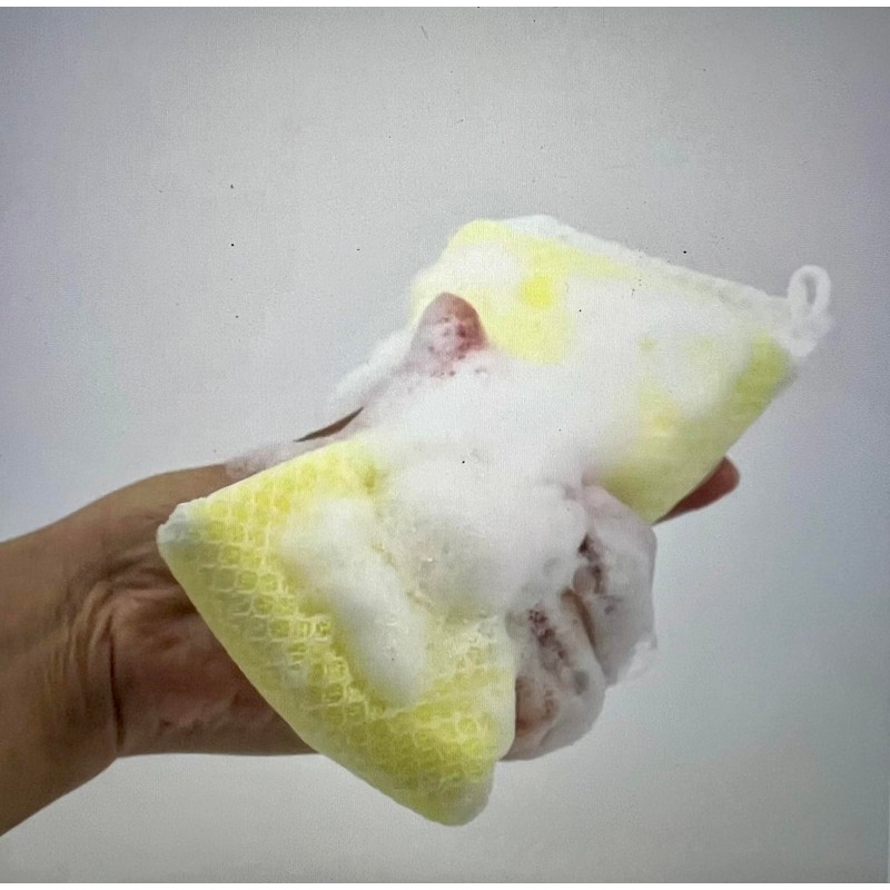 Dish and Household mesh Covered Cleaning Sponge (4 Pack)