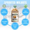 Brothers Nuts Garlic Salty Walnuts – Organic, Sprouted Walnuts –