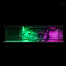 1:64 Neon Style LED Display Diorama – Model Scene with UV Printing, Multi-Color Lights & Accessories – for Diecast Cars & Figures (Vehicles Not Included)
