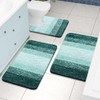 Arotive Bathroom Rugs Sets 2 Piece, Shaggy Soft and Absorbent
