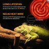 Simple Deluxe 150W Ceramic Heat Emitter Reptile Heat Lamp with