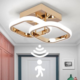 EIDEARAY LED Motion Sensor Ceiling Light Indoor, 22W Cold White 6000K Ceiling Light, Square Design Sensor Light,24 * 20 * 9CM，Suitable for Garages, Hallway, Aisle, Porch, Corridor，Entrance (Gold)