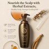 Daeng Gi Meo Ri- Hair Loss Care Shampoo for Sensitive