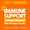 Ryl Immune Support Iced Tea, Juicy Orange, 500mg Vitamin C