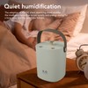 1.2L Double Spray Humidifier with Night Light USB Powered Large