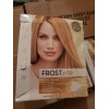 Clairol QTY 2PK Clairol Frost & Tip Ultra Precise Blonde