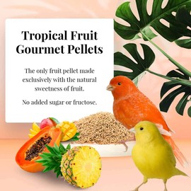 LAFEBER'S Premium Daily Diet or Gourmet Fruit Pellets Pet Bird Food, Made with Non-GMO and Human-Grade Ingredients, for Canaries