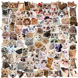 insidemoon 100 Pieces Funny Cat Stickers,Cute Cat Meme Stickers for Water Bottle Laptop,Cat Stickers for Luggage Skateboard Bicycle,Waterproof Vinyl Kitty Stickers for Teens Adults