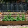 AGTEK 34" x 48" Foldable Cucumber Trellis with Garden Stakes