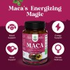 Raíz De Maca Orgánica Para Mujeres - Natures Craft