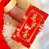 Winlyn 120 Pcs 6 Designs Chinese Hong Bao Lucky Money