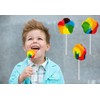 Rainbow Swirl Lollipop 3" Inch 45 Gram (6-Pack) Flower Sucker