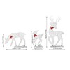 3Pcs Lighted Christmas Decoration Deer, Iron LED Reindeer Family Set,