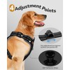 MIDOG Dog Harness, No-Pull Pet Harness and Leash Set for