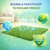 Fancy Pets Repuesto de Pasto Sintético para Tapete Doggie Grass