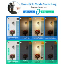 VIANIS Outdoor Motion Sensor Light, Dusk to Dawn Outdoor Light Fixtures, 2 Pack Outside Lights for House, Anti-Rust Bronze Outdoor Wall Lights for House, Garage, Entryway, Seed Glass, Vintage Style