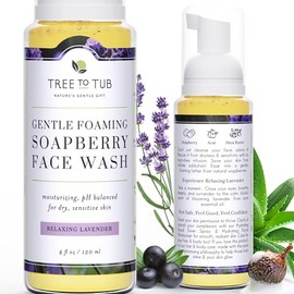 Gentle Face Wash for Dry Skin. The Only pH 5.5 Balanced Lavender Foaming Face Wash for Sensitive Skin - Women and Men's Face Wash (Relaxing Lavender)