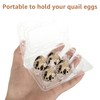 ZOFUN 100 Pcs Quail Eggs Boxes, 11 x 7.6 x
