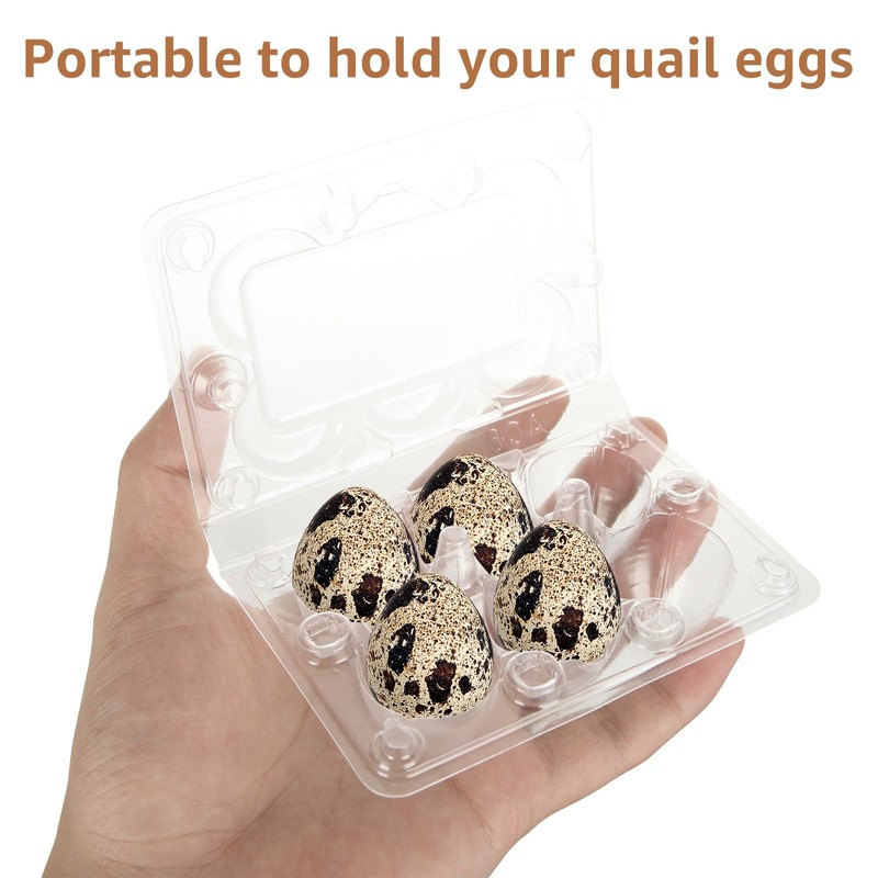 ZOFUN 100 Pcs Quail Eggs Boxes, 11 x 7.6 x