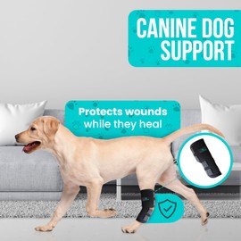Dog Leg Braces for Back Leg - Dog Knee Brace Leg Hock Joint Compression Wrap for Recovery, Protection, and Sprain and Injury Prevention, Ankle Brace with Knee Support for Dogs - Dog Leg Brace (Large)