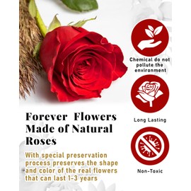 Changshunqi 16 Flowers Forever Preserved Roses in Heart Box, Preserved Flowers for Delivery Birthday Gifts Women Anniversary Forever Flowers for Mothers Gift Real Rose Forever Gifts for Women Mom Wife