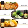 Salubrito Citrus Essential Oils Set for Diffuser, Fragrance Oil |