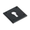 From The Anvil Black Avon Escutcheon