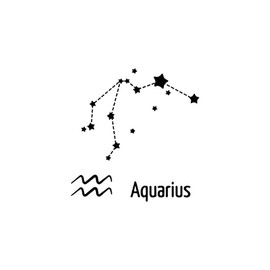 Aquarius - Wassermann - Forever Never® | Temporäre Tattoos für Erwachsene - Hält bis zu 2 Wochen | vegan, wasserfest, EU-zertifiziert