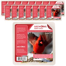 Heath Outdoor Products Berry All Season No Mess Suet Cake Birders Pack, Food for Woodpeckers, Cardinals, Siskins, Sparrows, Finch's & Many More Wild Birds & More - 10oz Suet Feeder, (Pack of 16)